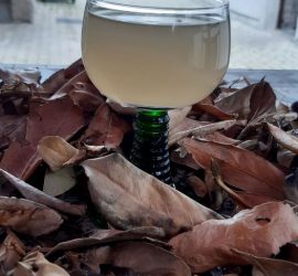 Le Greechen à déguster